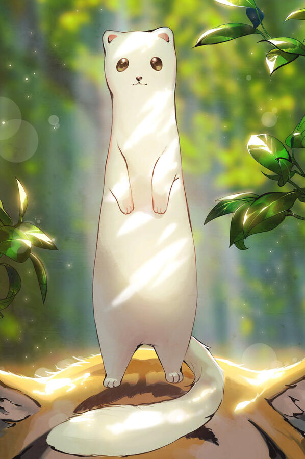 Baeka (백아)